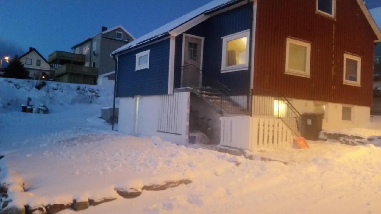 Blue House I At The End Of The World Apartment Mehamn Bagian luar foto